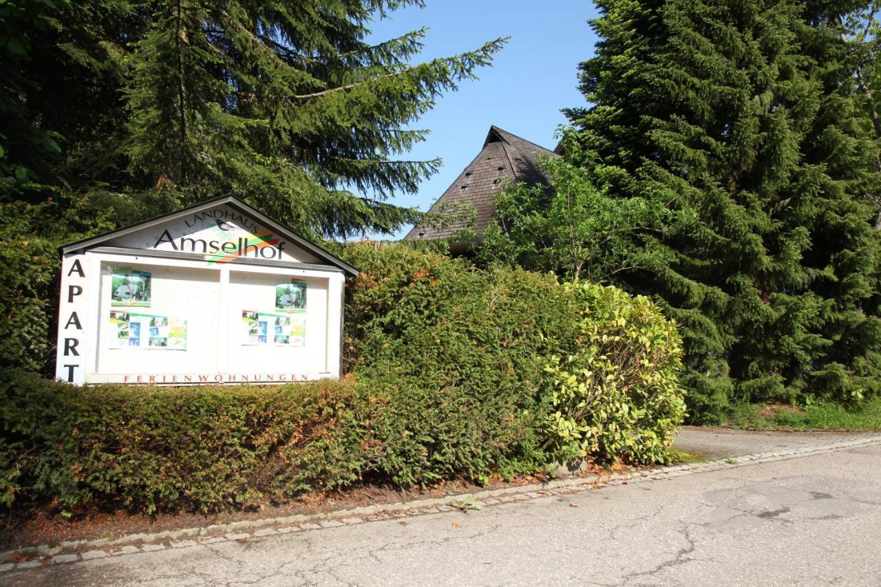 Amselhof Hinterzarten Buitenkant foto
