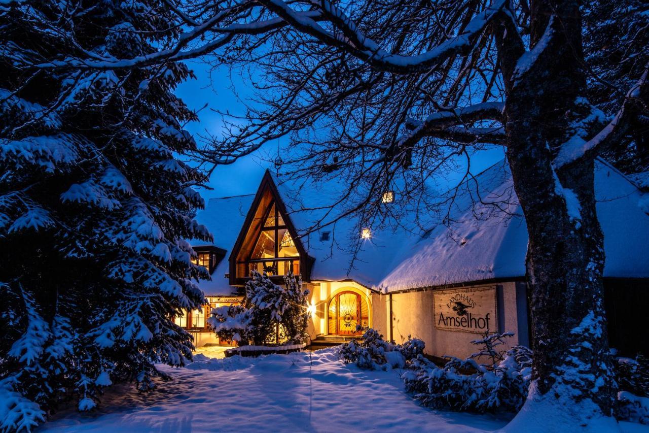 Amselhof Hinterzarten Buitenkant foto